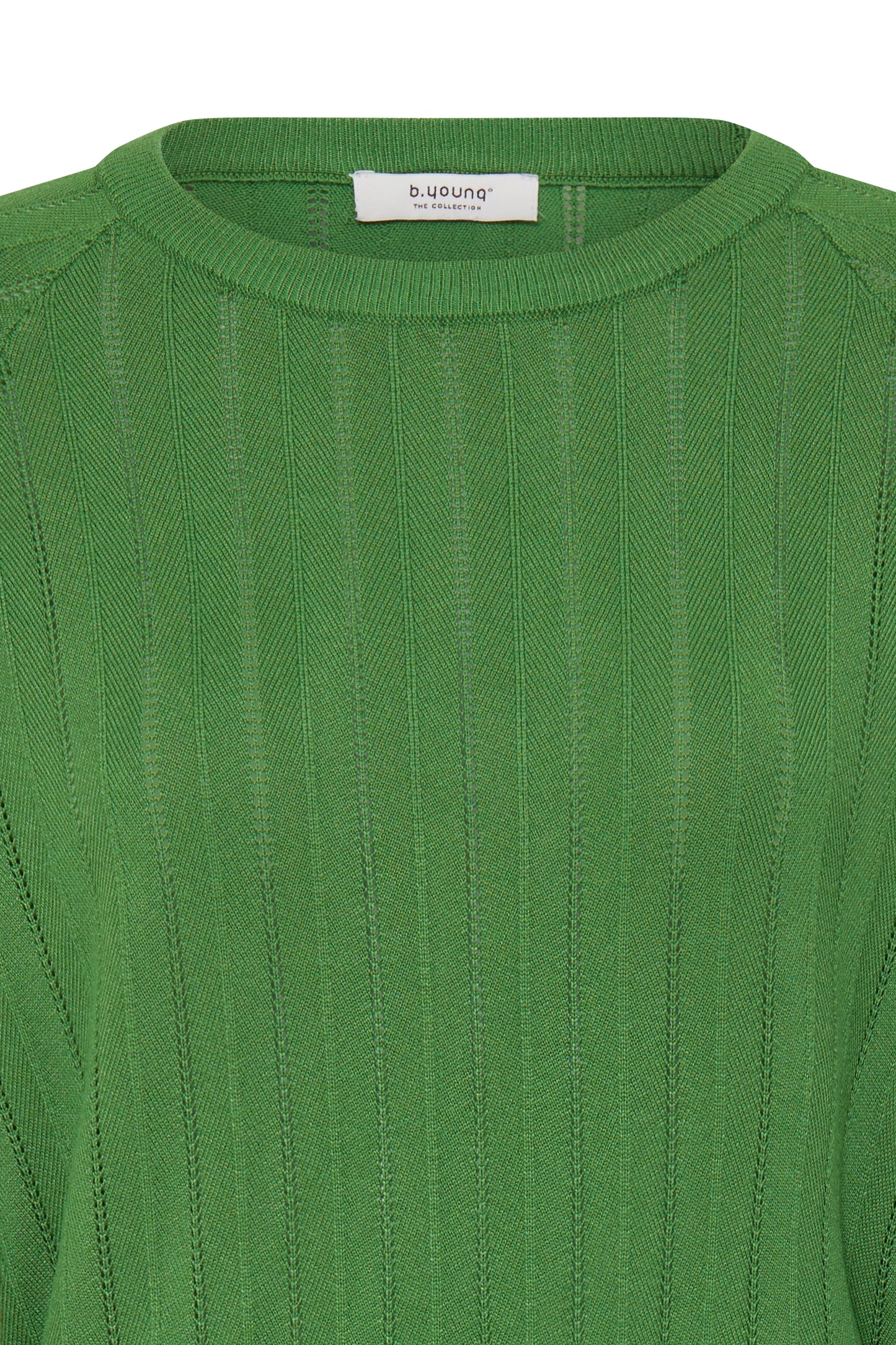 Pull détail maillage B.Young