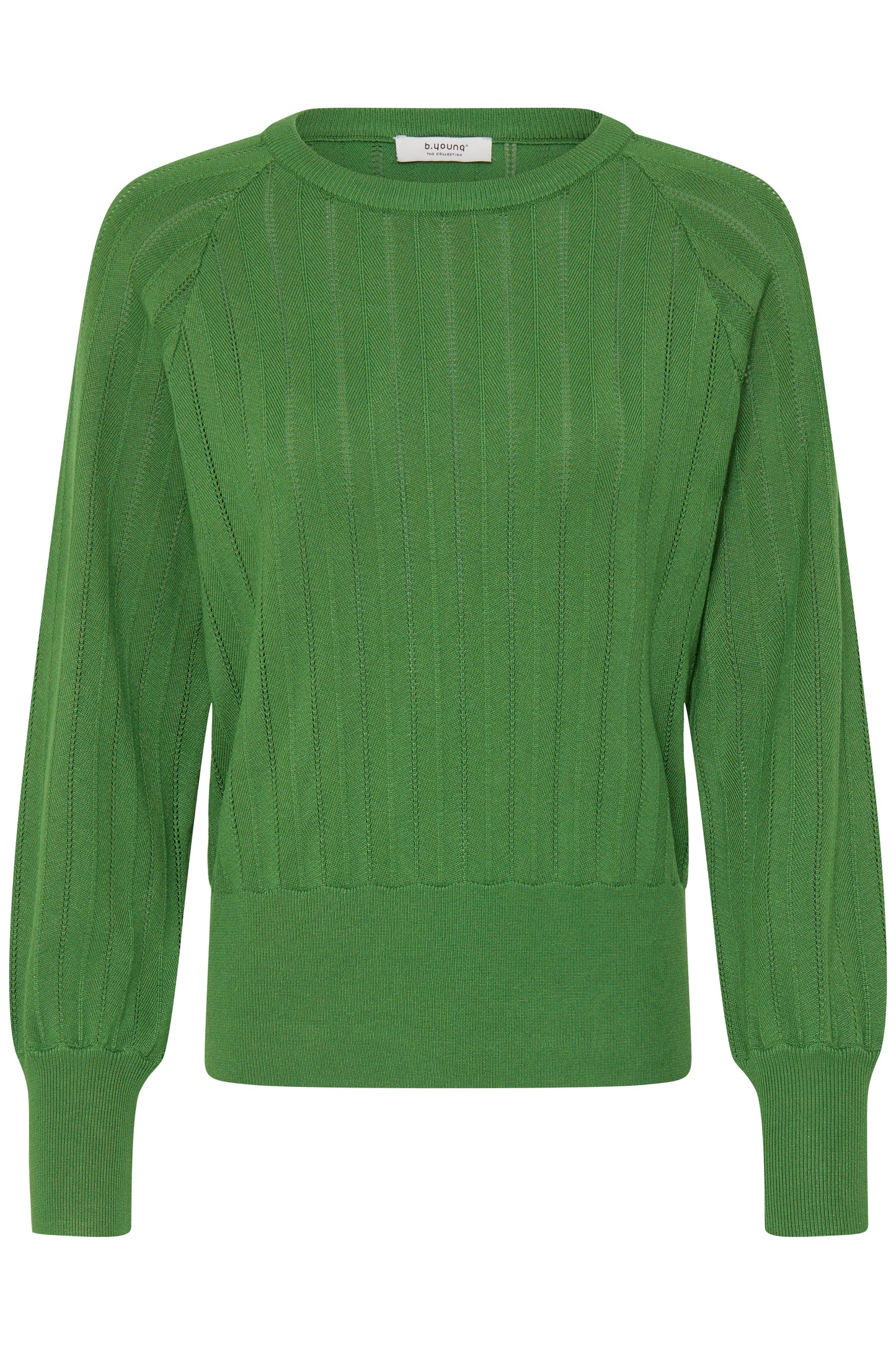 Pull détail maillage B.Young